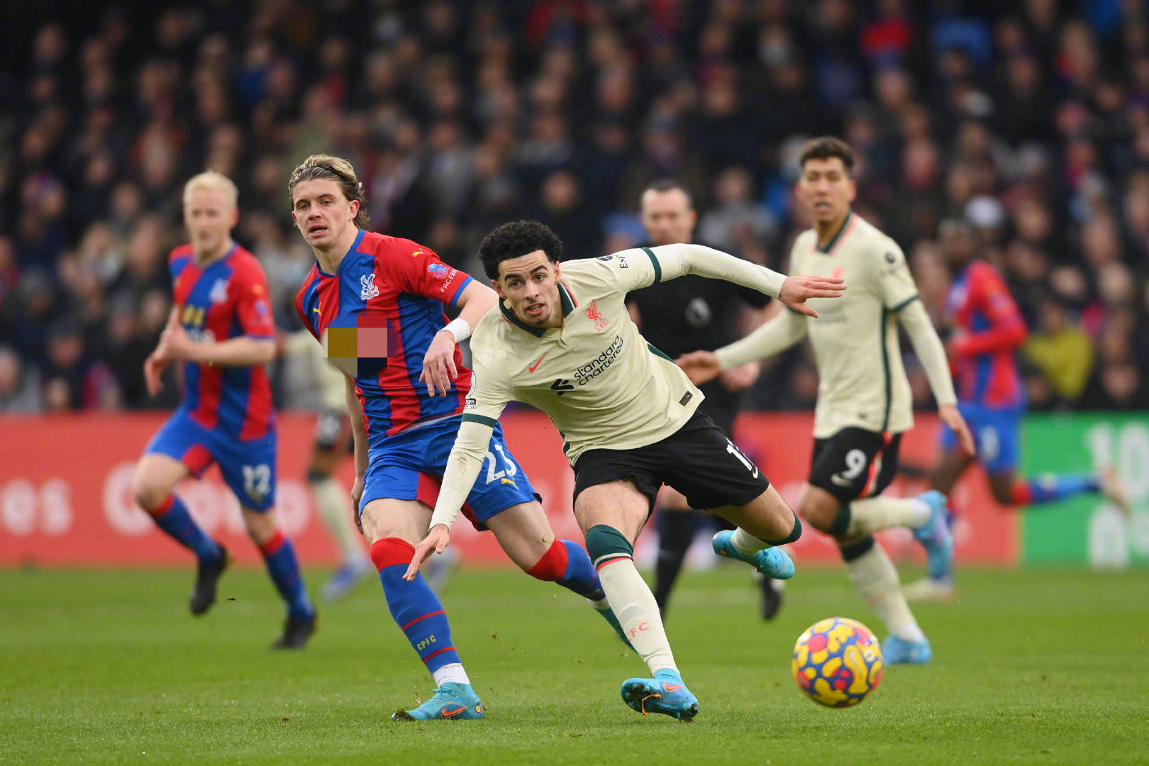 不可多得的 不可多得的