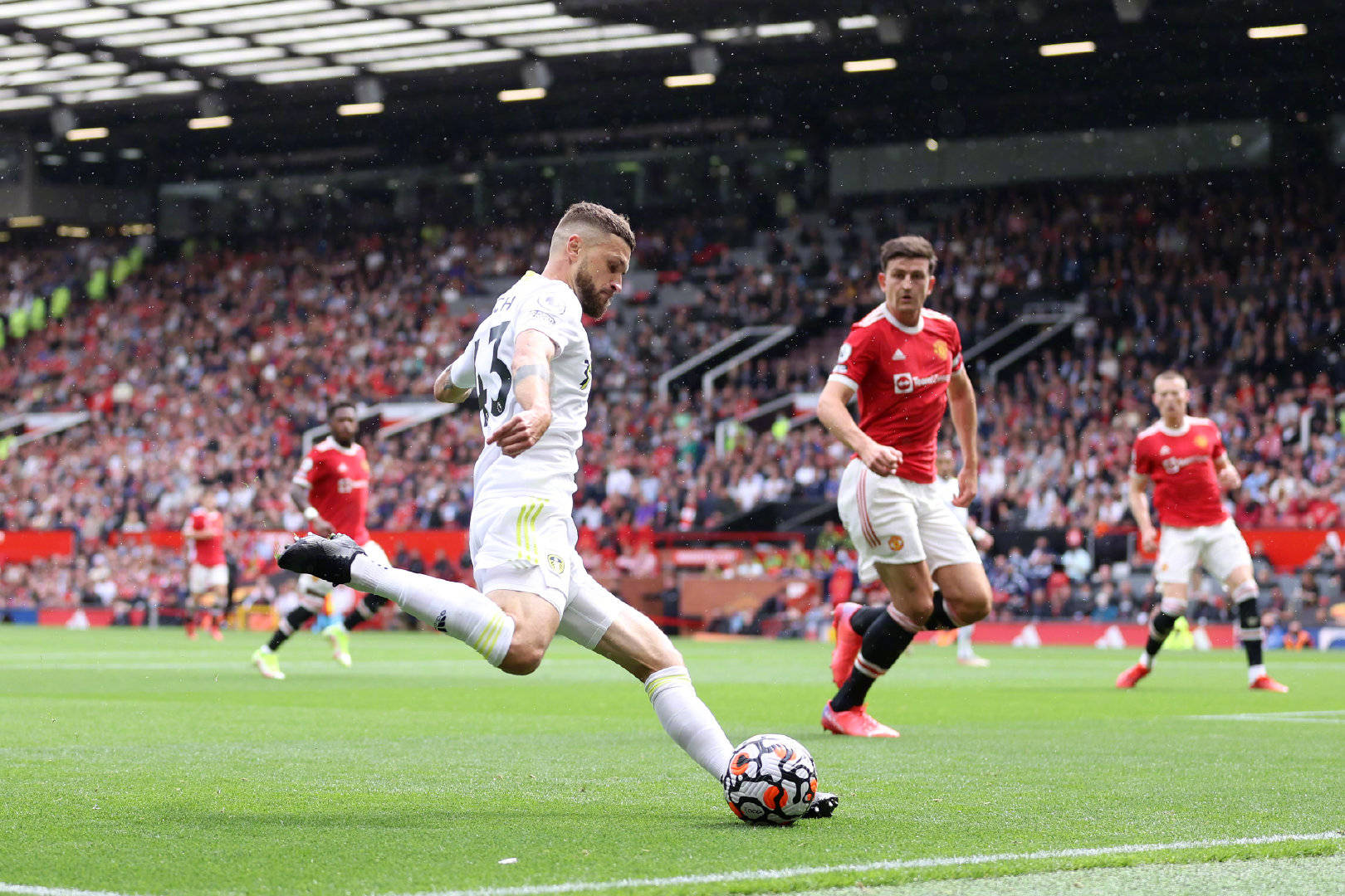 他有望成为 他有望成为